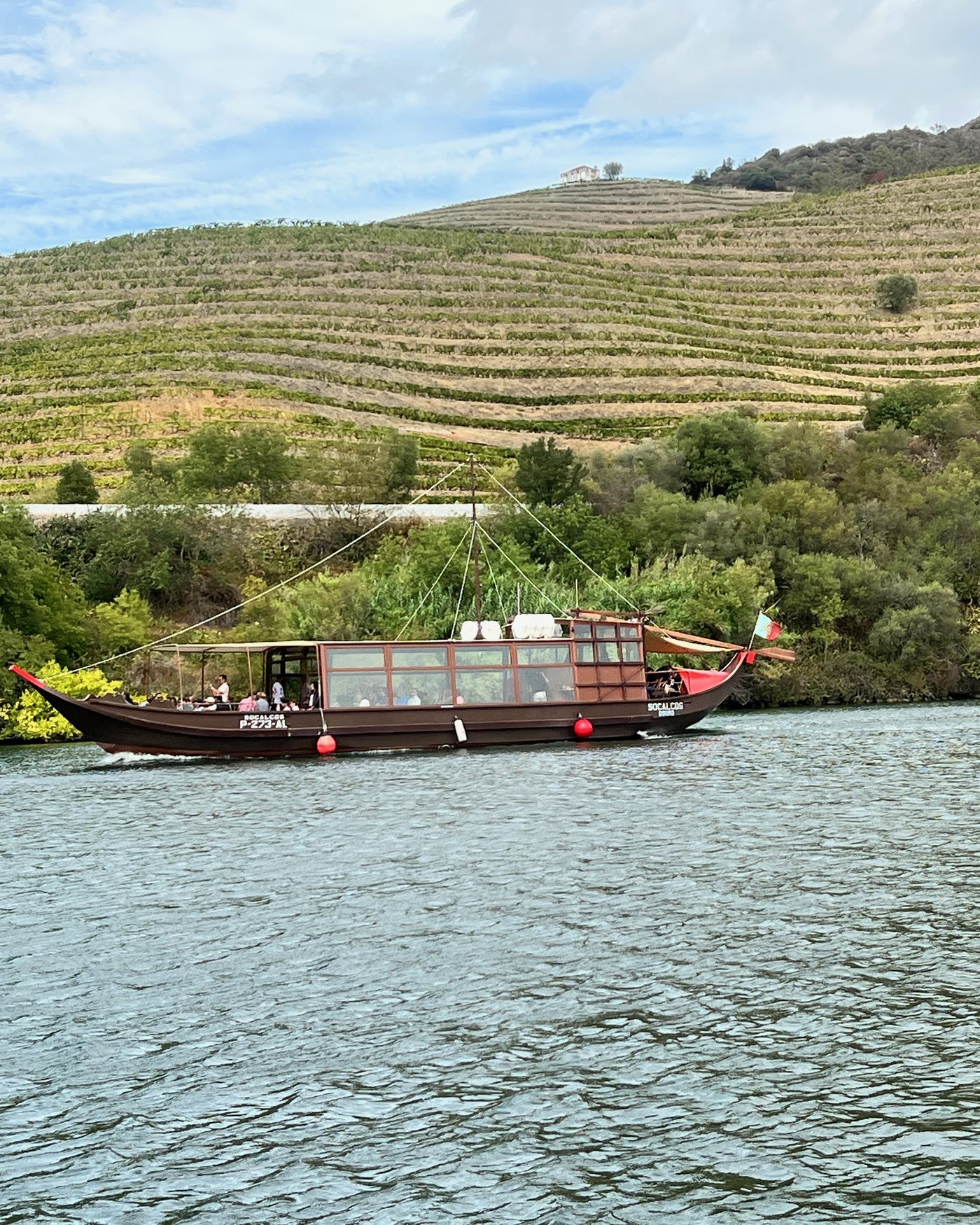 Terraced vineyards above the Douro with a rabelo boat on the river